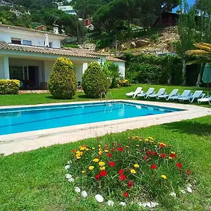 Max Villa